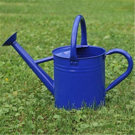 GRILLTOWN 3.5 litre Watering Can, Blue GR2527672